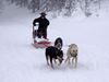 Obrázek Musher Kadet a Junior