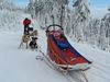 Obrázek Musher Kadet a Junior